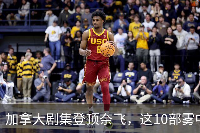 加拿大剧集登顶奈飞，这10部雾中惊悚剧接档